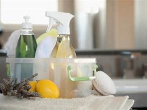 Mina's Housekeeping Services