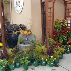 Photo Of Grangettos Farm And Garden Supply - Encinitas, CA, United States P farm and garden supply. Photo Of Grangettos Farm And Garden Supply - Encinitas, CA, United States P