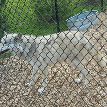The wild park chittenango coupons