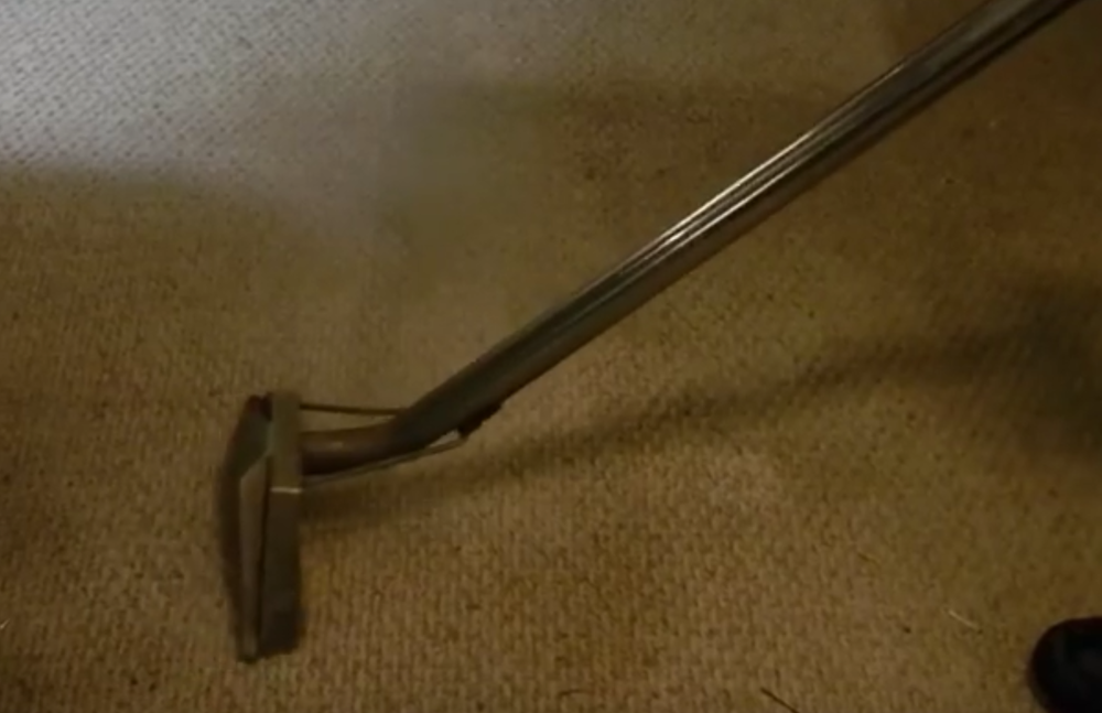 professional carpet cleaning Yelp