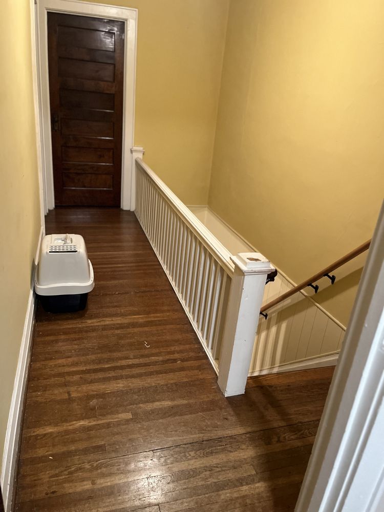 Lil Miss Cleans Everything