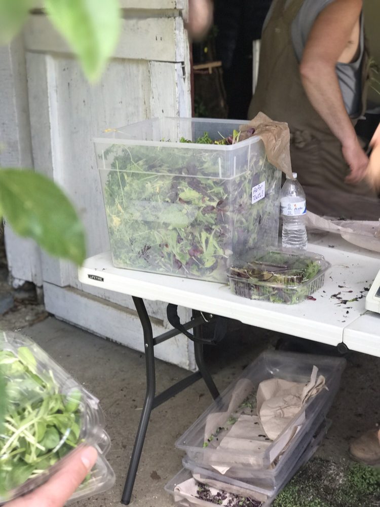 Fable - From Farm To Table