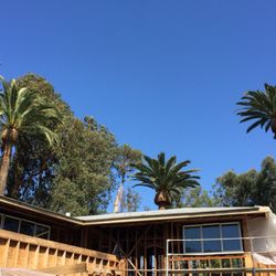 One Day Tree Landscape 159 Photos 220 Reviews Services Photo Of One Day Tree Landscape Los Angeles Ca United States