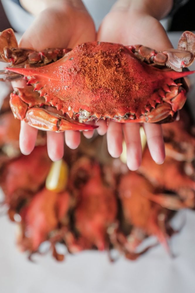 Hook & Reel Cajun Seafood & Bar