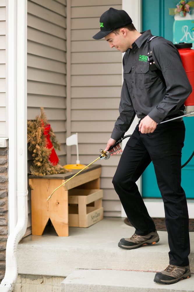 Rise Pest Control