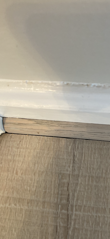 image of business First American Carpet & Floors