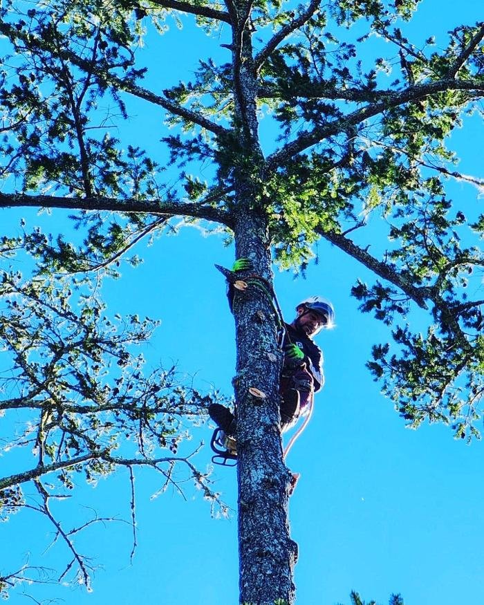 Mayan Climber