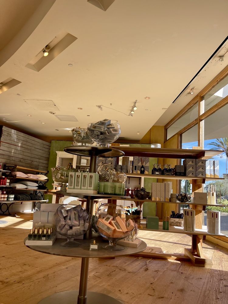 Anthropologie