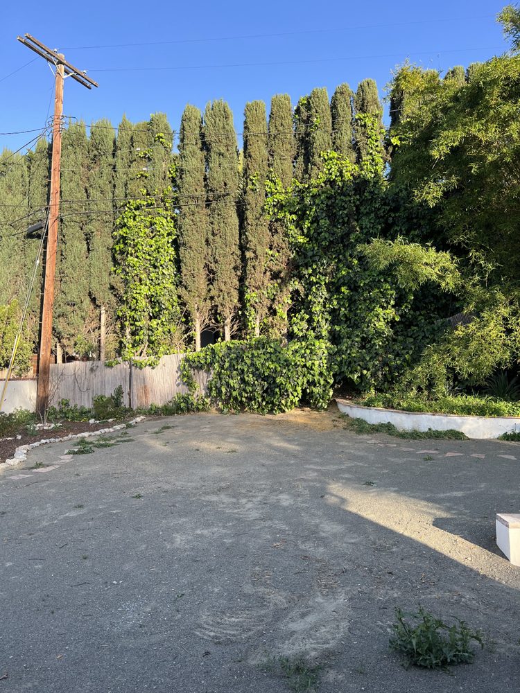 Kings Tree Services