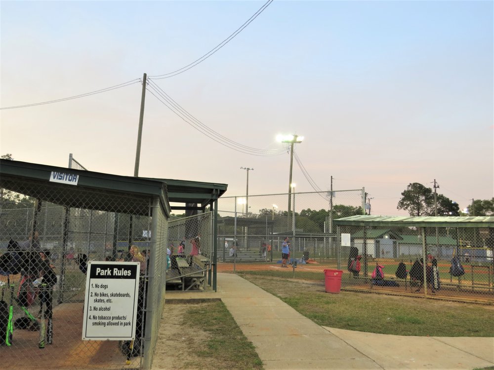 Lutz Nature Park and Playground 14 Photos Parks 766 W Lutz Lake