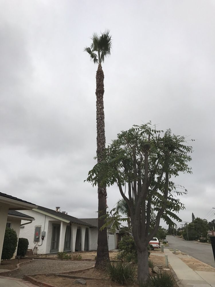 image of business Juan