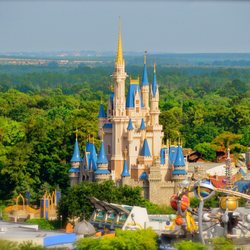 magic kingdom park 7014 photos 1766 reviews amusement parks