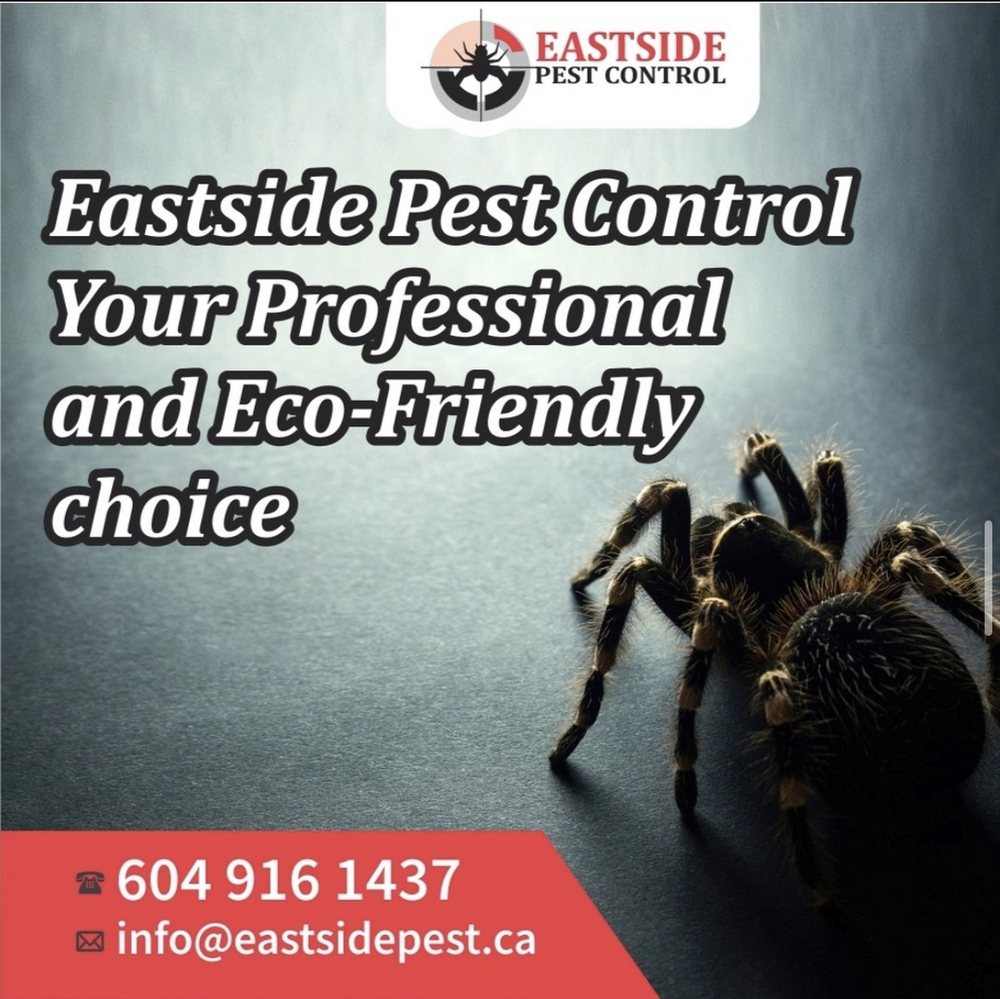 Eastside Pest Control