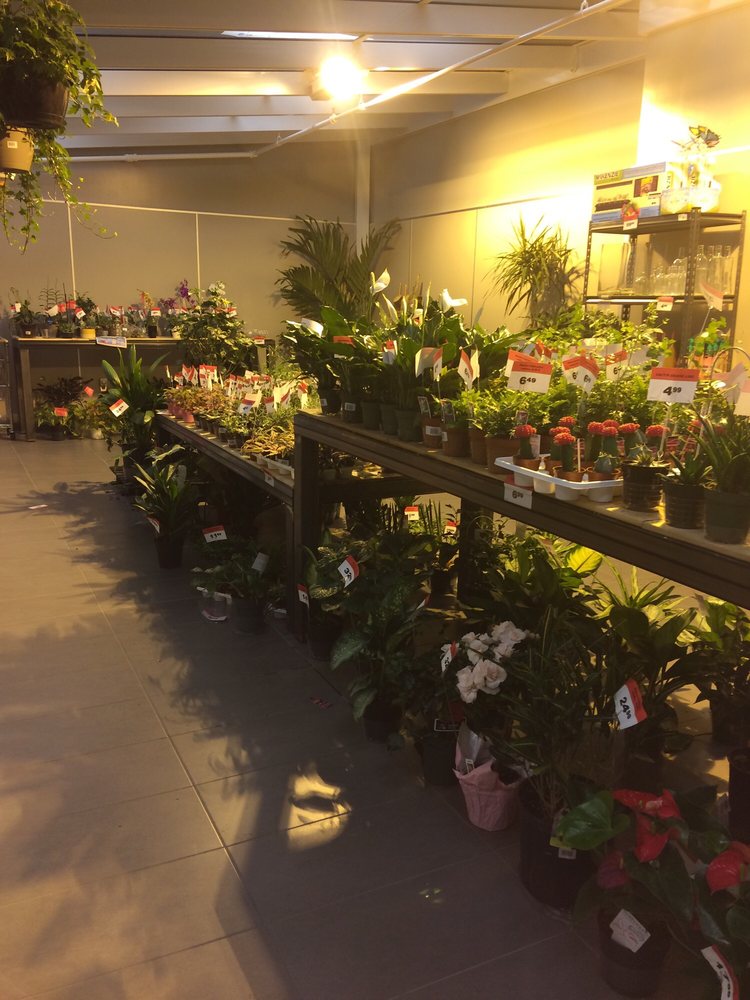 Canadian Tire
