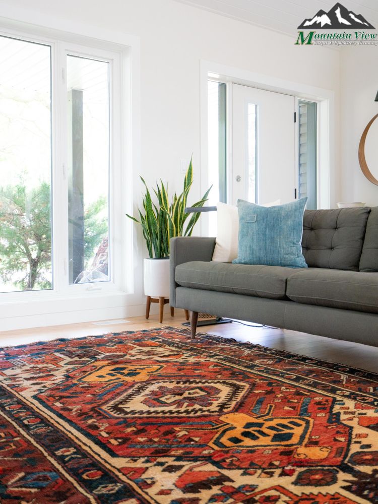 Mountain View Carpet Care
