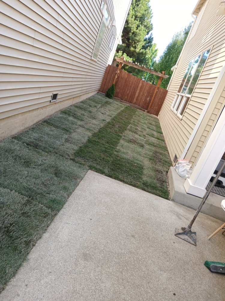 image of business Auburn Green Landscaping