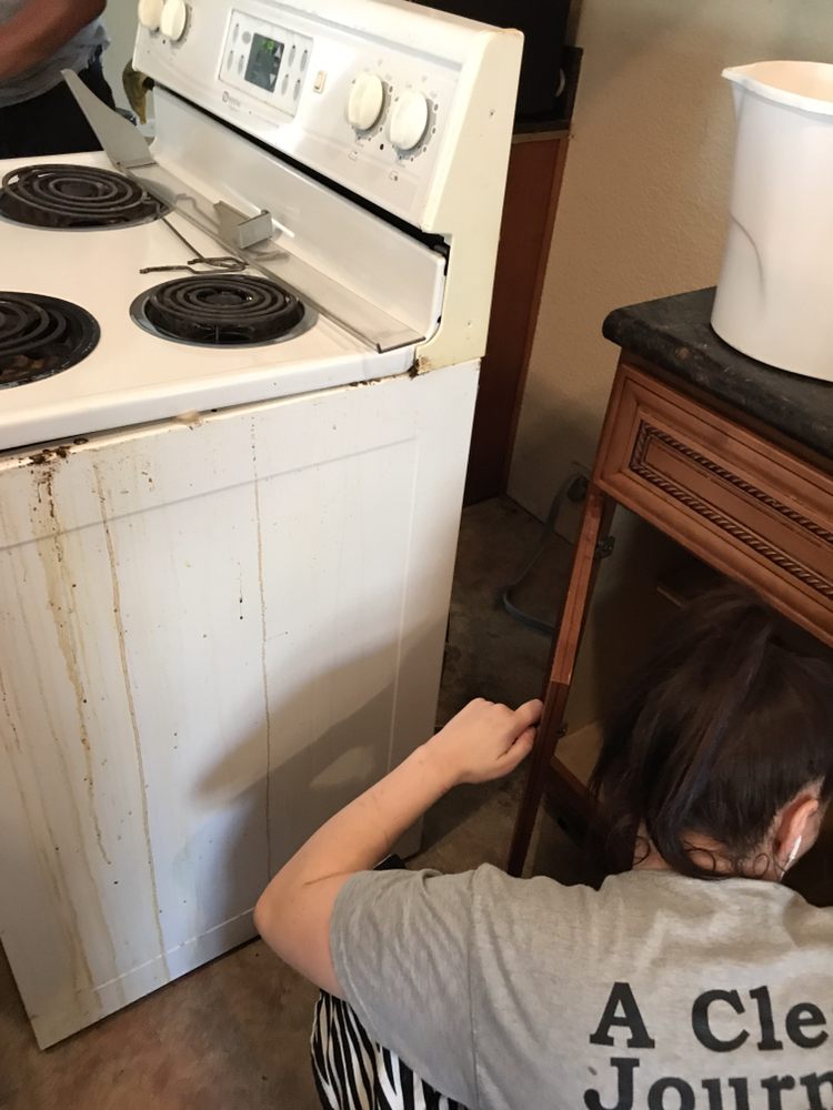 Safari Cleaning Services