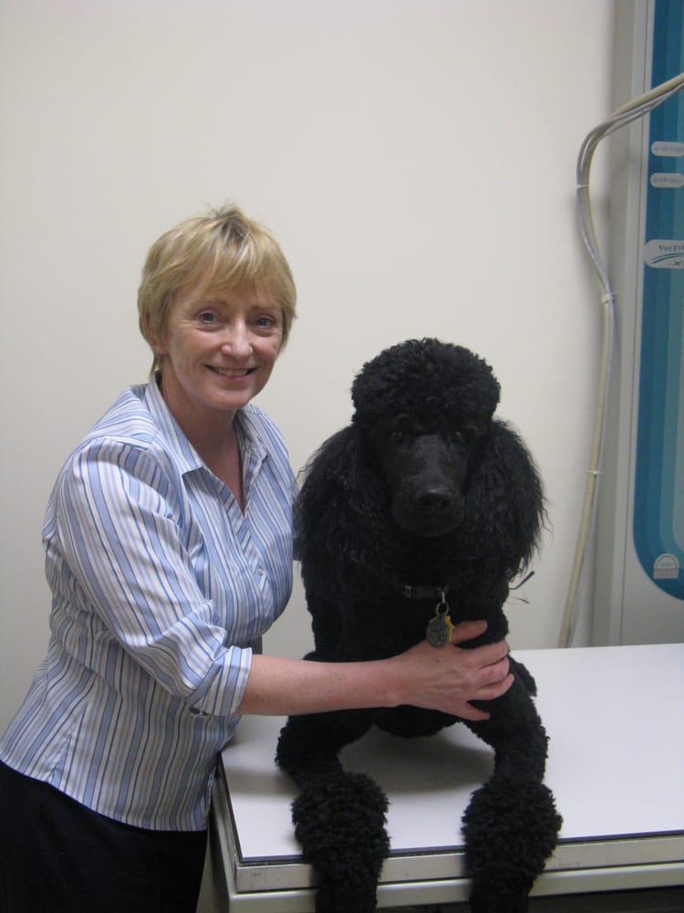 Hollin Hall Animal Hospital