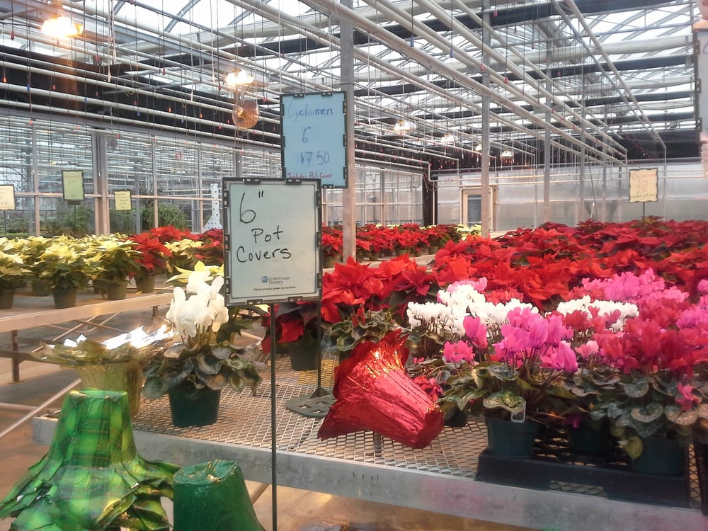 Niagara College Greenhouse Nursery 63 Photos Nurseries & Gardening