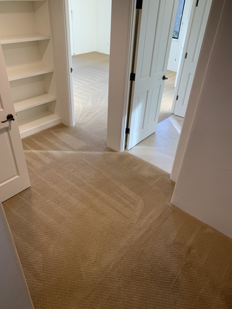 Domingo's Carpet Care & Janitorial Services