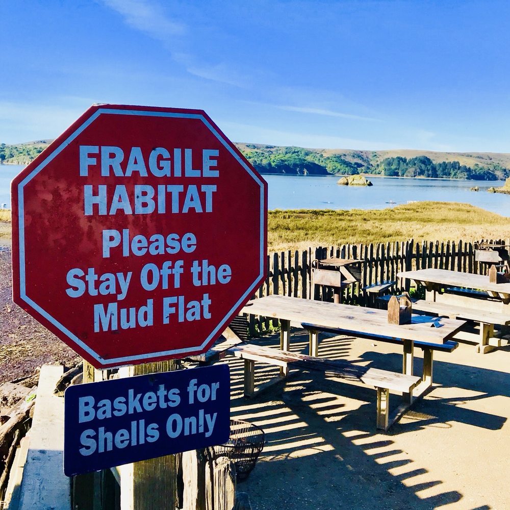 Point Reyes, CA Yelp