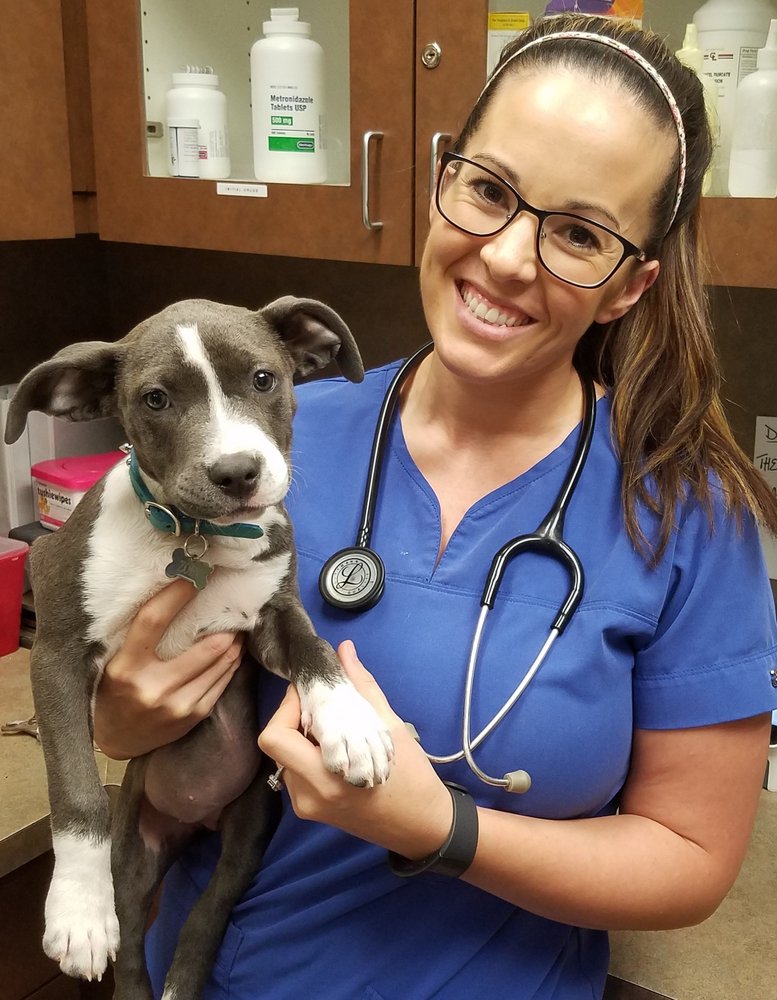 Veterinary Medical Center Of Spring New 18 Reviews