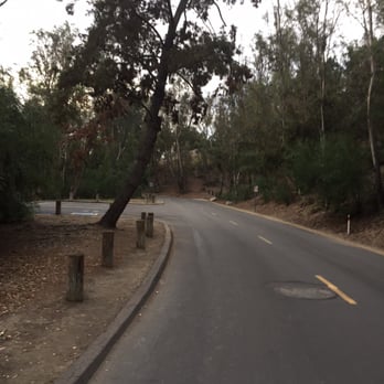 Dog Friendly Hikes Laguna Niguel Dog Friendly Hikes Laguna Niguel