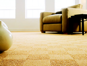 All Out Carpet Cleaning
