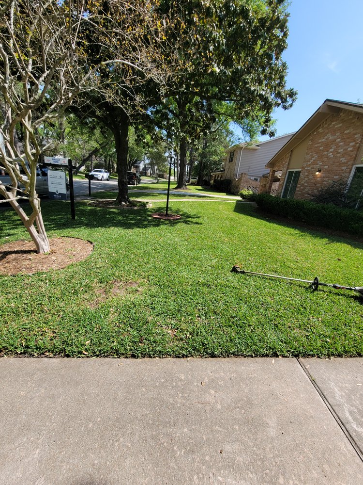 Full Service Landscaping