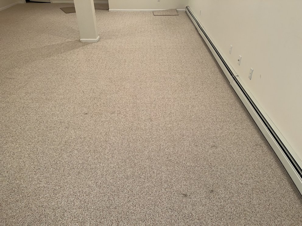 Kenny My Carpet Cleaner