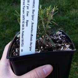 Harvest Nursery 16 Photos 10 Reviews Nurseries Gardening Photo Of Harvest Nursery Molalla Or United States My Free Plant Thanks