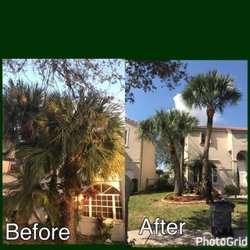 Go Green Affordable Tree Service Services Miami Fl Phone Photo Of Go Green Affordable Tree Service Miami Fl United States