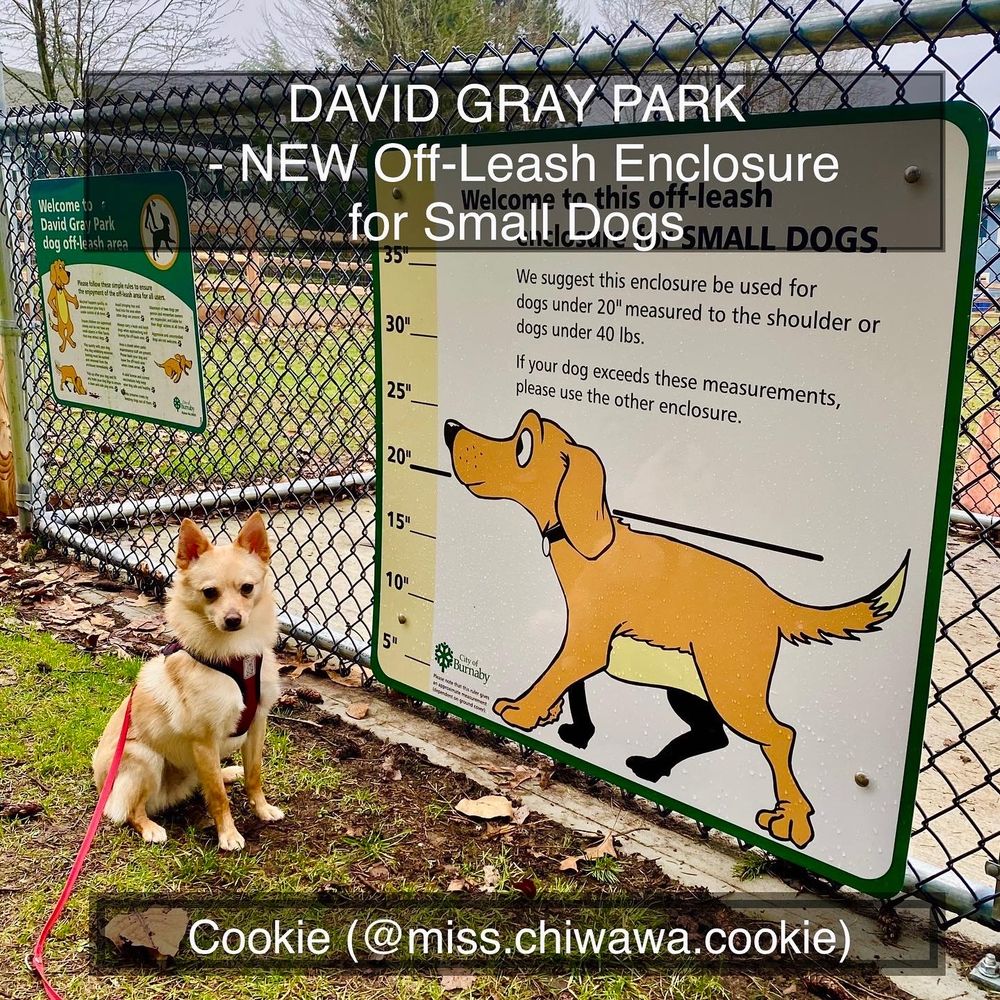 David Gray Park - Off Leash Enclosure