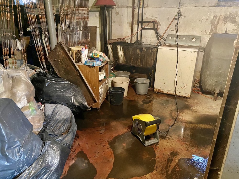 GreenEx CleanOut Services
