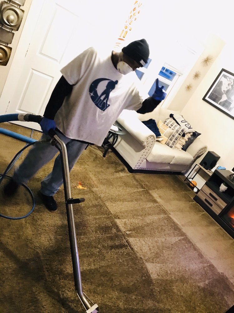 Loyal Carpet & Upholstery Cleaning Services