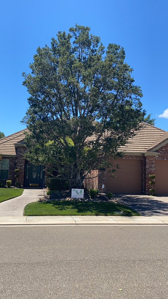 Navarro Tree Service
