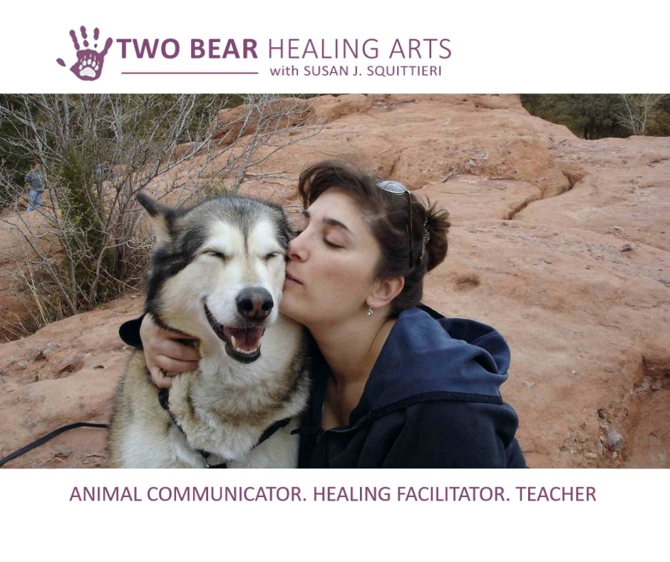 Two Bear Healing Arts | Animal Communication + Reiki
