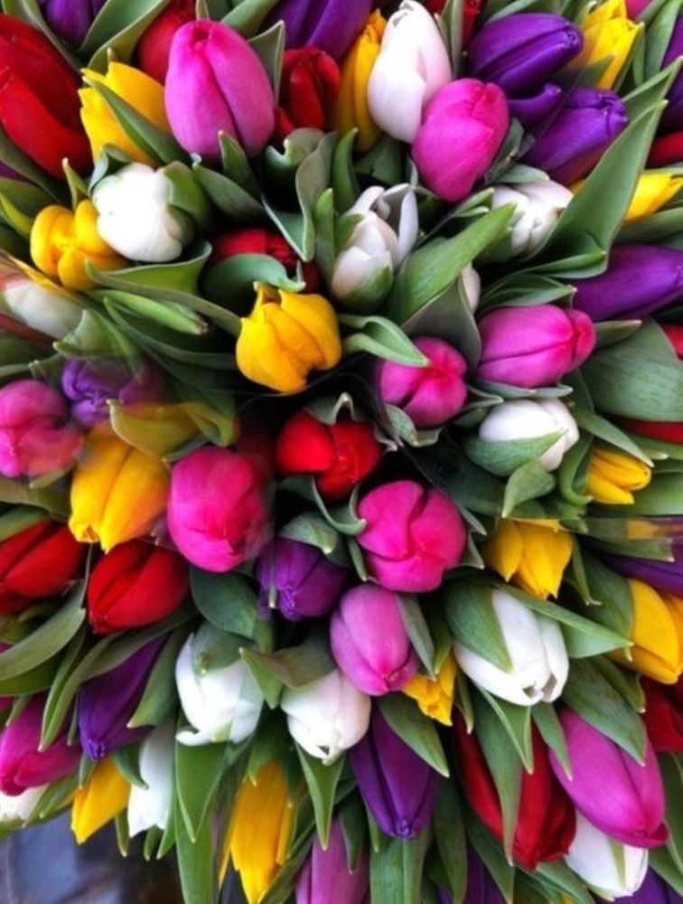 Needham Florist 214 Photos & 16 Reviews Florists 1091 Great Plain