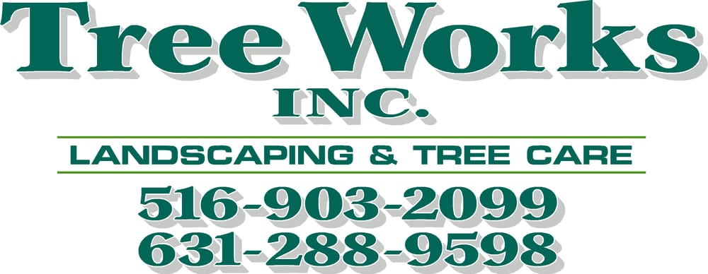 westhampton tree works get quote tree services 14 humphrey st tree works inc