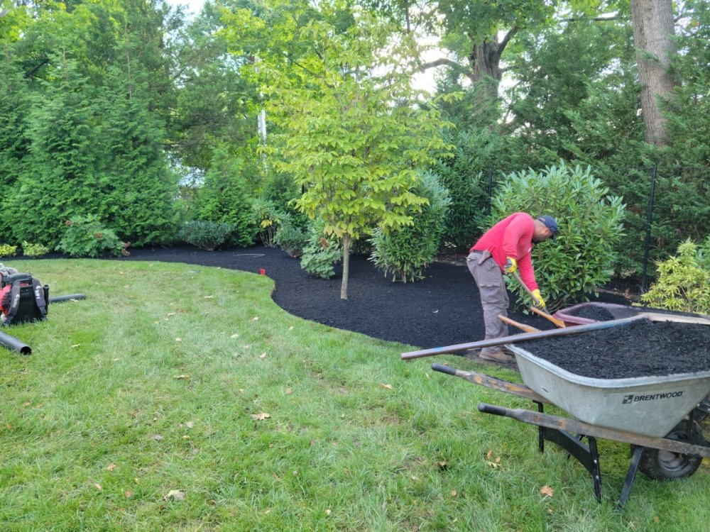 Jose Landscaping