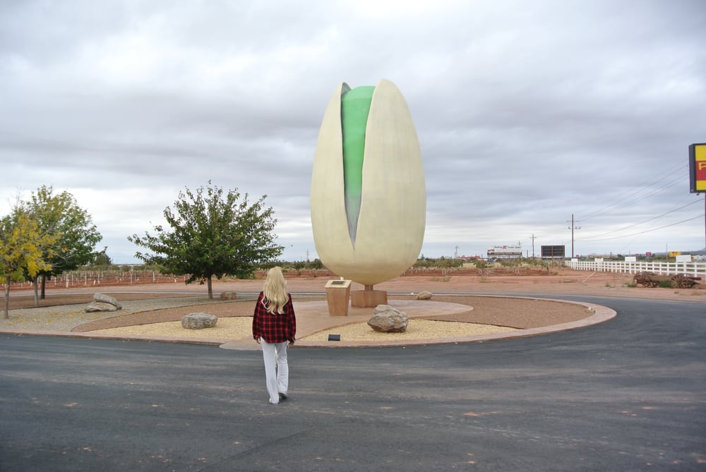PistachioLand McGinn’s Pistachio Tree Ranch 196 Photos & 64 Reviews