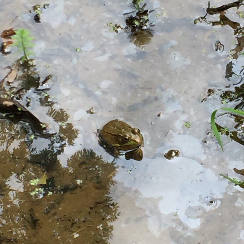 Hidden Pond Nature Center