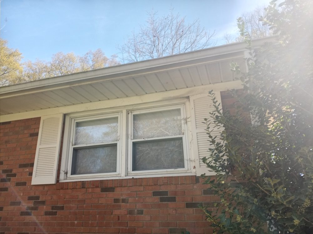 Arnie's Pressure Washing & Soft Wash