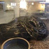 Arizona Reptile Center - 25 Photos & 42 Reviews - Pet Stores - 2025 W