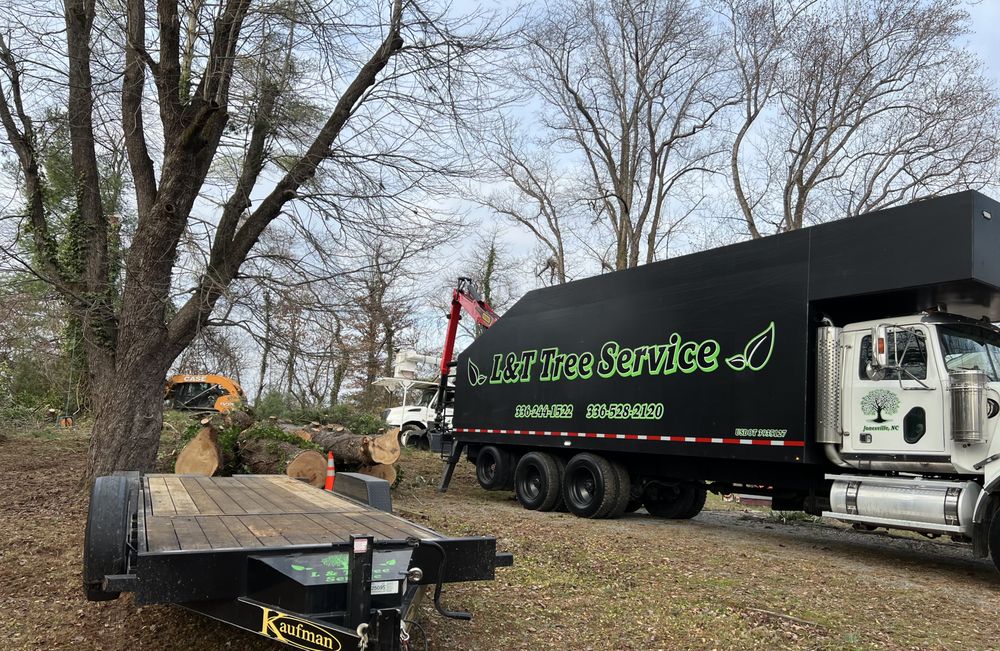 L & T Tree Service