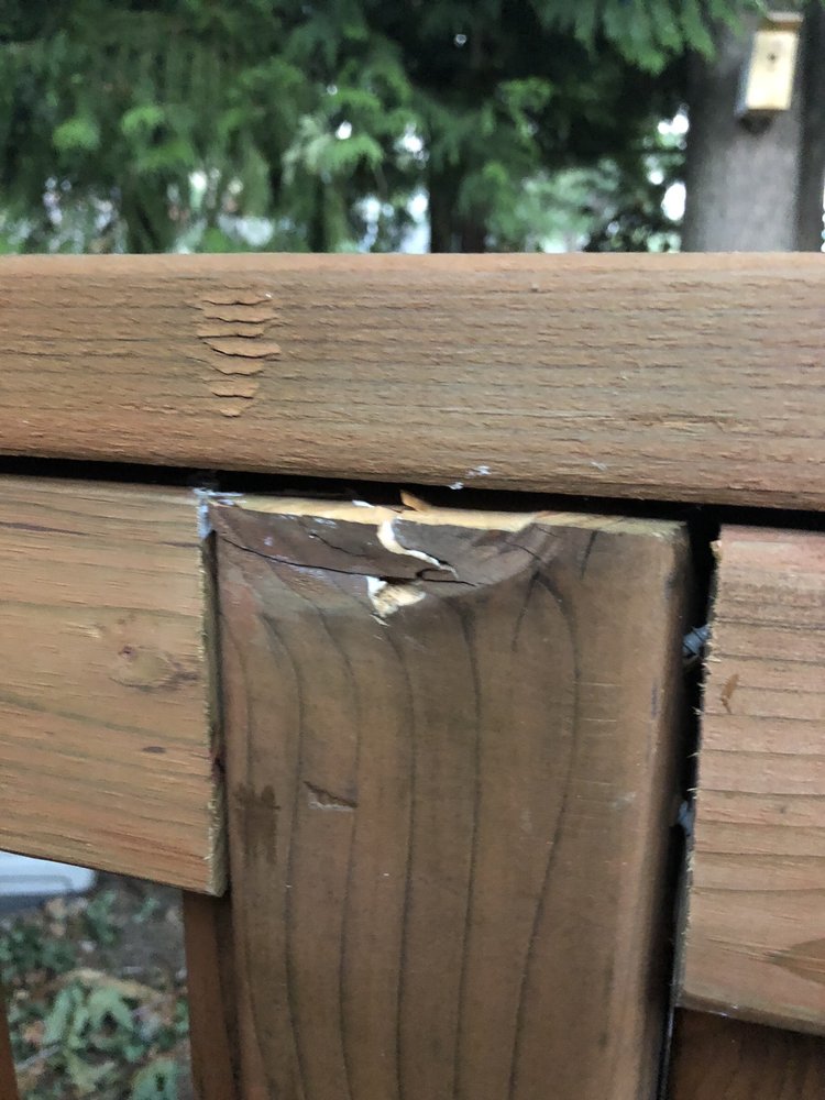 image of business Marcus Construction & Development