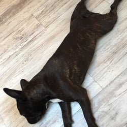 Erase Spa - 26 Photos &amp; 160 Reviews - Laser Hair Removal 