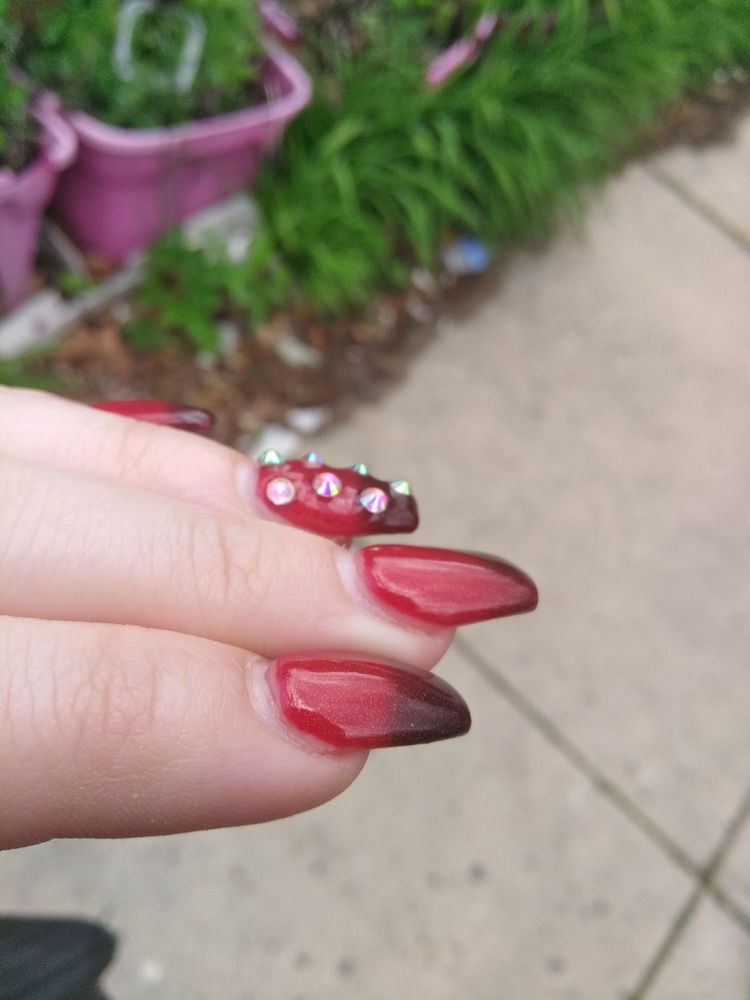 Sunrise Nails 90 Photos & 16 Reviews Nail Salons 243 Central Ave