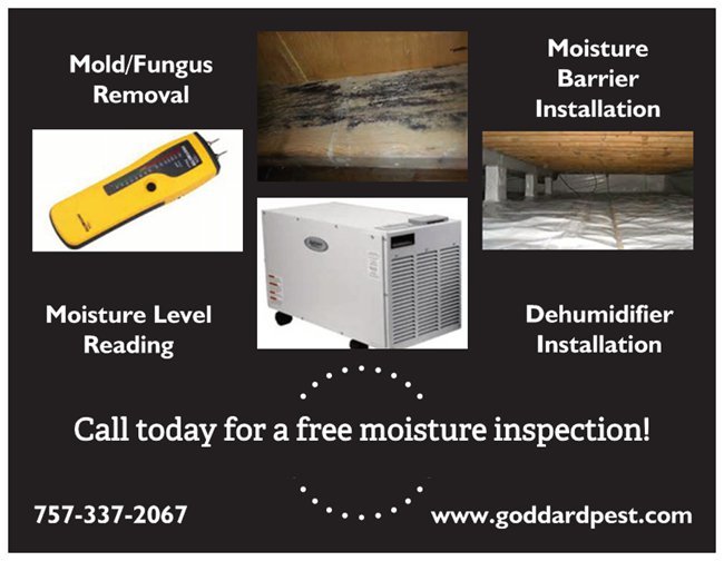 Goddard Pest Solutions