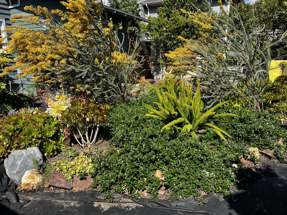 Wave Hill Landscaping and Irrigation